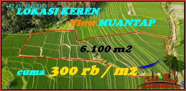 Magnificent Penebel Tabanan LAND FOR SALE TJTB564