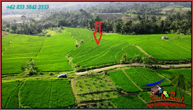 Magnificent Penebel Tabanan LAND FOR SALE TJTB564