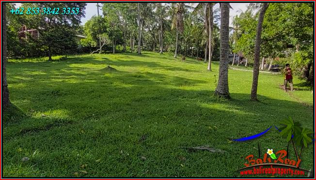 FOR SALE Magnificent LAND IN TABANAN BALI TJTB550