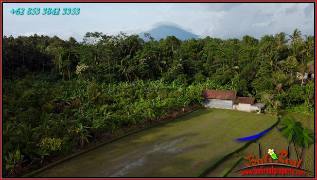 FOR SALE Affordable 12,000 m2 LAND IN Pupuan Tabanan TJTB554