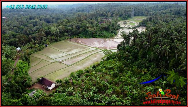 FOR SALE Affordable 12,000 m2 LAND IN Pupuan Tabanan TJTB554